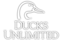 Ducks Unlimited Logo